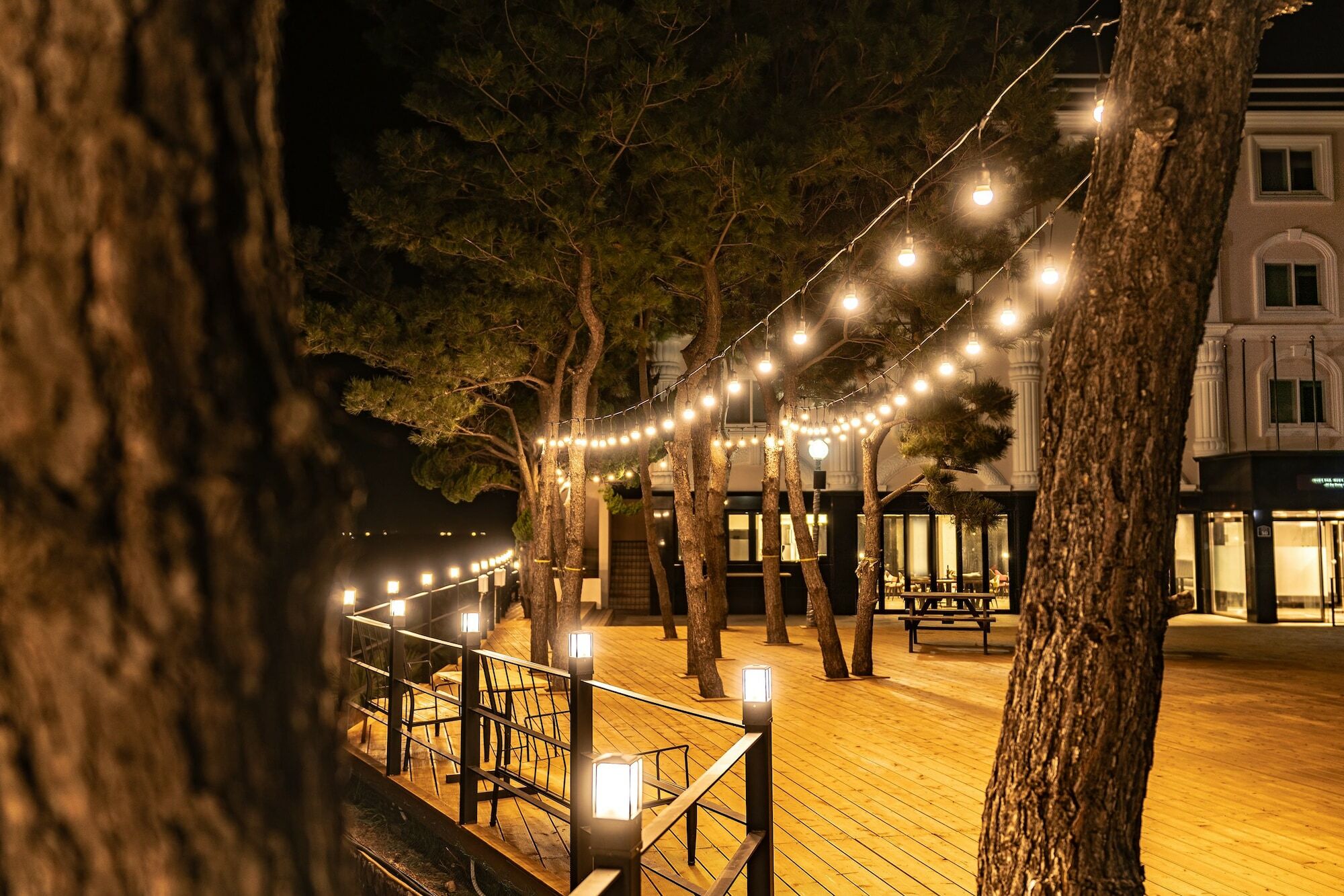 Cocoon Hotel Τζέτζου Εξωτερικό φωτογραφία